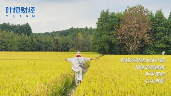 红领金服 曾经是房地产的销售头部，意气风发，如今三座大山压身，前途迷茫，我该何去何从？丨叶檀回信